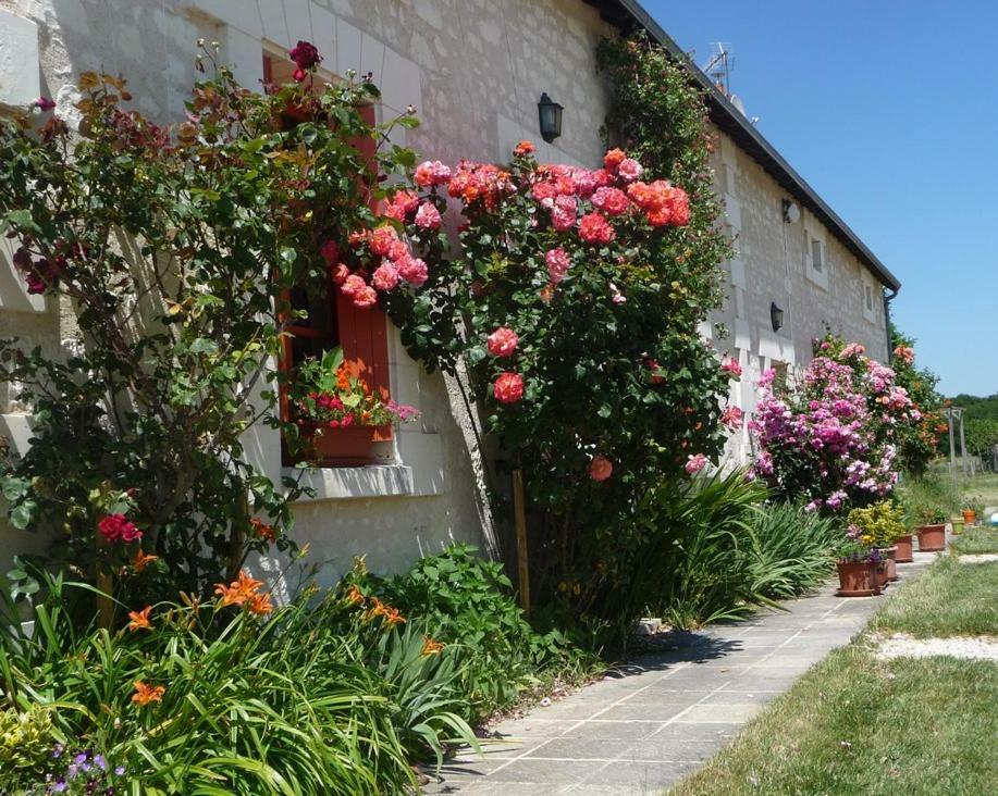 La Maison Des Fleurs Hotel Saint-Senoch Eksteriør billede