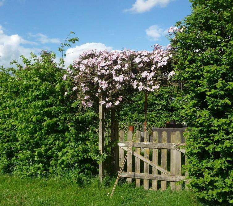 La Maison Des Fleurs Hotel Saint-Senoch Eksteriør billede